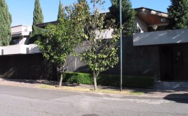 IMG_0560