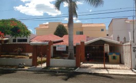 irapuato